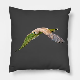 Female Kestrel on the hunt Pillow