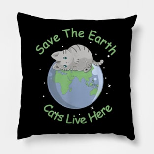 Earth Day Planet Anniversary Earth Day Everyday Pillow