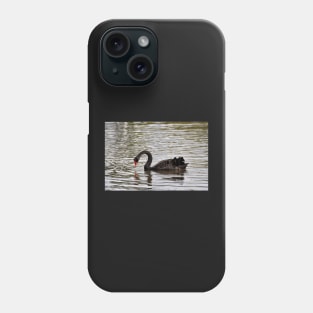 Nouvelle Zélande - Rotorua, cygnes noirs Phone Case