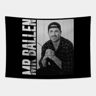 Mr Ballen // Vintage Distressed Tapestry