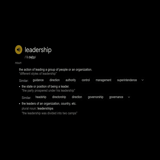 What is leadership meaning or definition? by fantastic-designs