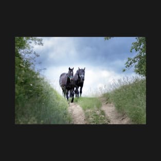 Horses in the wild on the way home T-Shirt