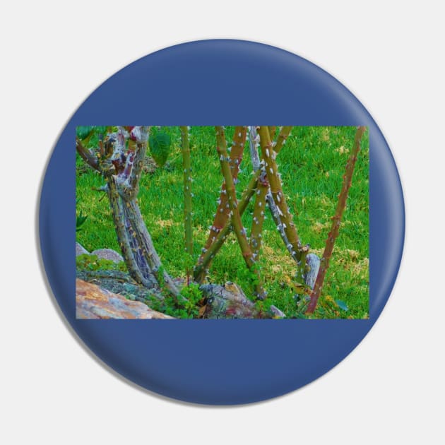 Barren bush Pin by FriendlyComputerHelp