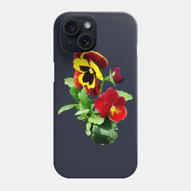 Pansies - Pansy Family Phone Case by SusanSavad