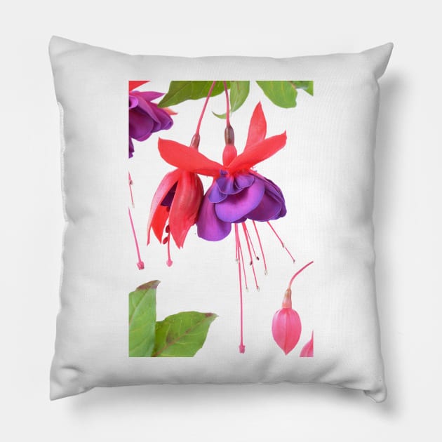 Fuchsia  &#39;Voodoo&#39; Pillow by chrisburrows