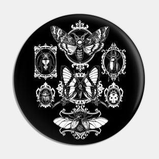 Gothic Framed Insects Pin