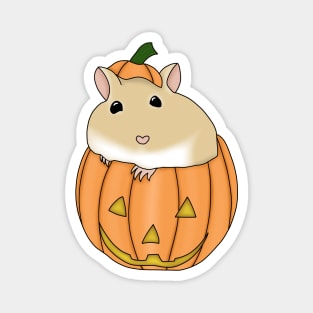 Gerbil in pumpkin (cute golden gerbil Halloween costume) Magnet