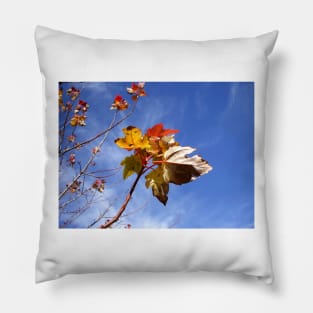 Bright Fall Leave's up in the Blue Sky Pillow