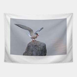 Common Tern Tapestry