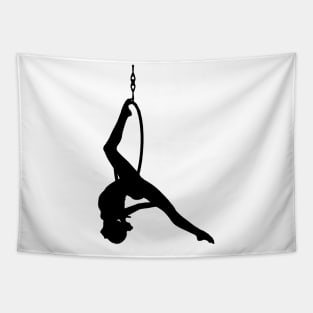 Aerial hoop Tapestry