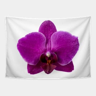 Violet Orchid Tapestry