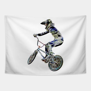 bmx Tapestry