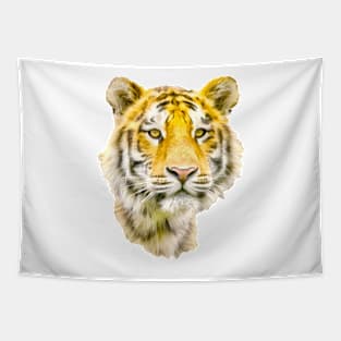 Tiger Stare Tapestry