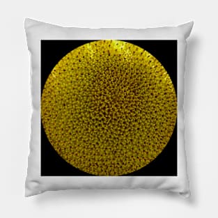 Sunflower Pillow