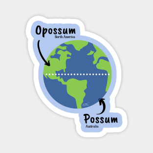 Opossum / Possum Magnet