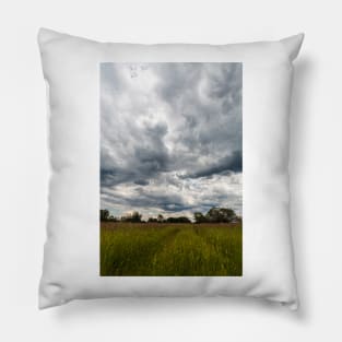 Stormy cloudscape over meadow, Poland, Europe Pillow
