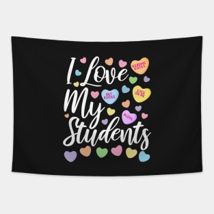 I Love My Students, Valentines Teacher Educator Tapestry