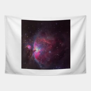 The Orion Nebula Tapestry