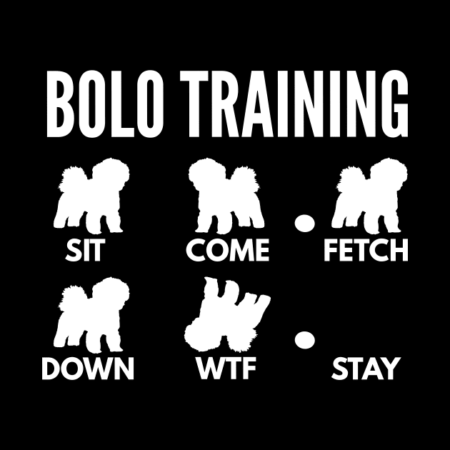 Bolo Training Bichon Bolognese Tricks by DoggyStyles