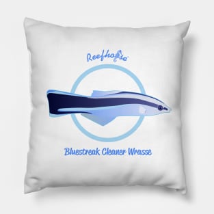 Bluestreak Cleaner Wrasse Pillow