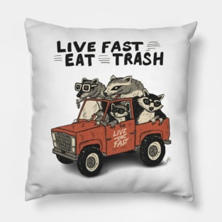 Funny Opossum Raccoon Meme, Live Fast Eat Trash Pillow