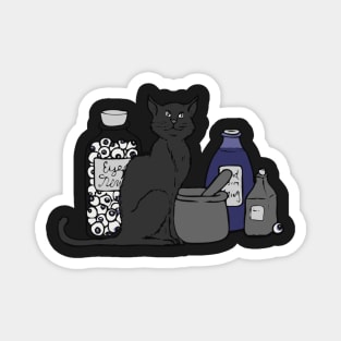 Halloween Potions Cat Magnet