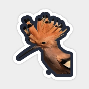 Moxie Hoopoe Bird With Crown Of Feathers Magnet