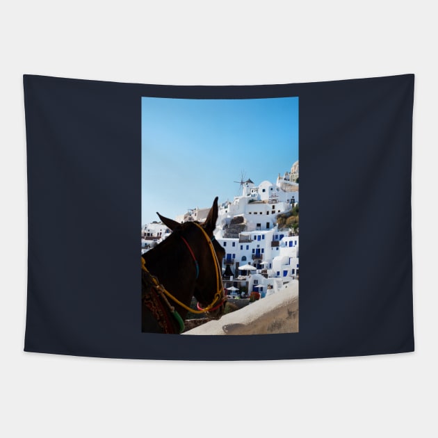 Donkey's View Of Oia, Santorini Tapestry by tommysphotos