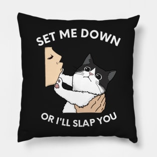 Set Me Down Or I'll Slap You Black and White Cat, Chonk Slap Funny Design Pillow