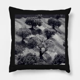 Olive Trees Pillow