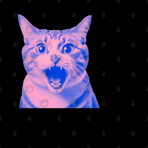 Funny Cat Meme Scared by Ravenglow