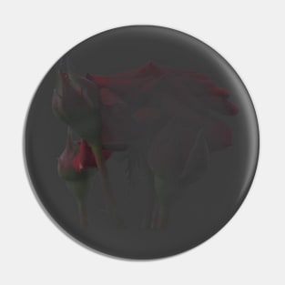 Obscured memory of roses Pin