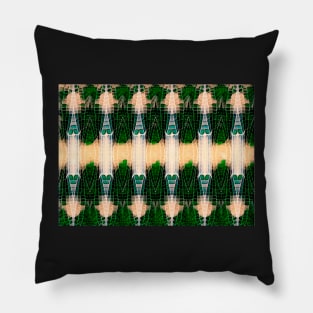 Dragonfly wing pattern green Pillow