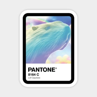 Pantone lofi Capybara swatch Magnet