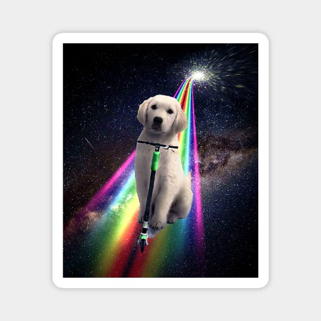 Space Galaxy Dog On Scooter Rainbow Magnet by Random Galaxy