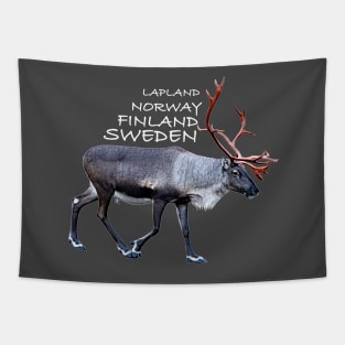 Lapland Tapestry