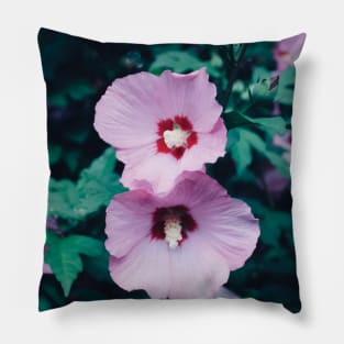 Two Hibiscus Flowers Pillow