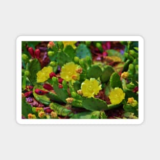 Prickly Pear Cactus Magnet