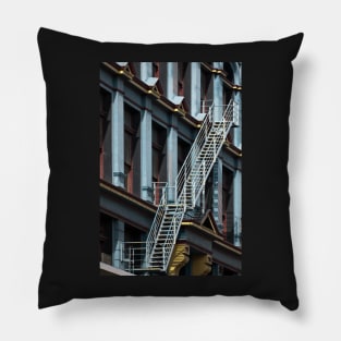 Dunedin Escape Pillow