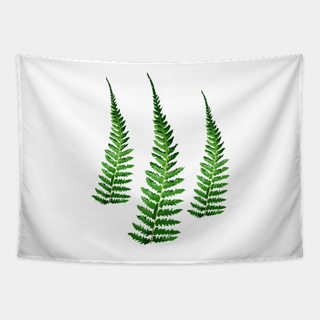 Fern Tapestry by DenAlex