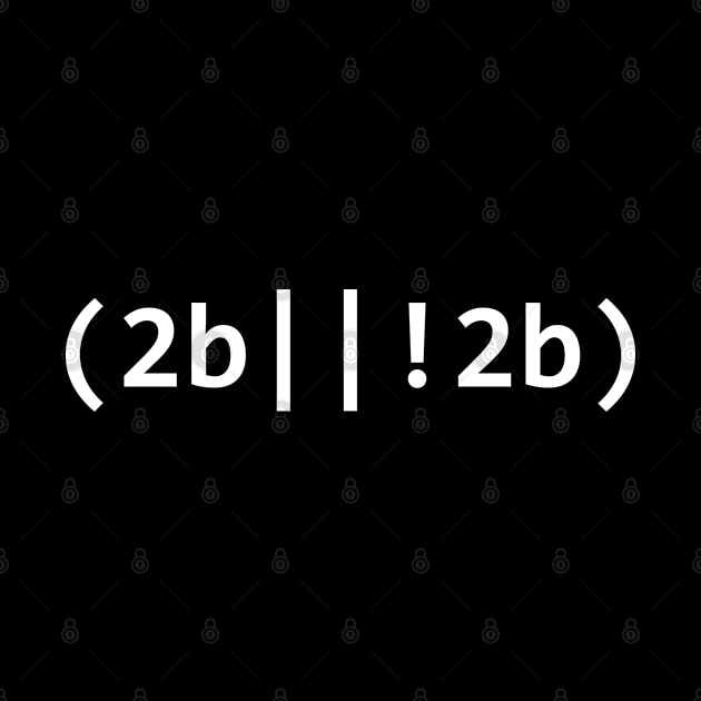 2b Or Not 2b for IT Network Administrator & Developer Teacher by tobzz