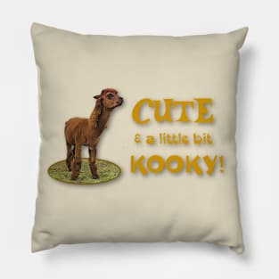 CUTE and a little bit KOOKY! Pillow