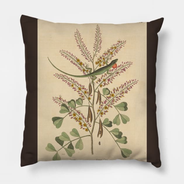 The Green Lizard of Jamaica by Mark Catesby Pillow by Amanda1775