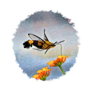 Hummingbird Hawk Moth T-Shirt