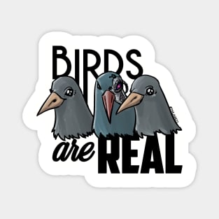 Birds Are Real - Black Magnet