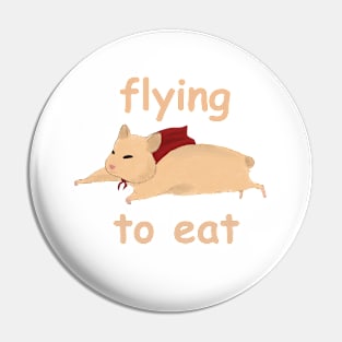 hamster is flying to eat Pin