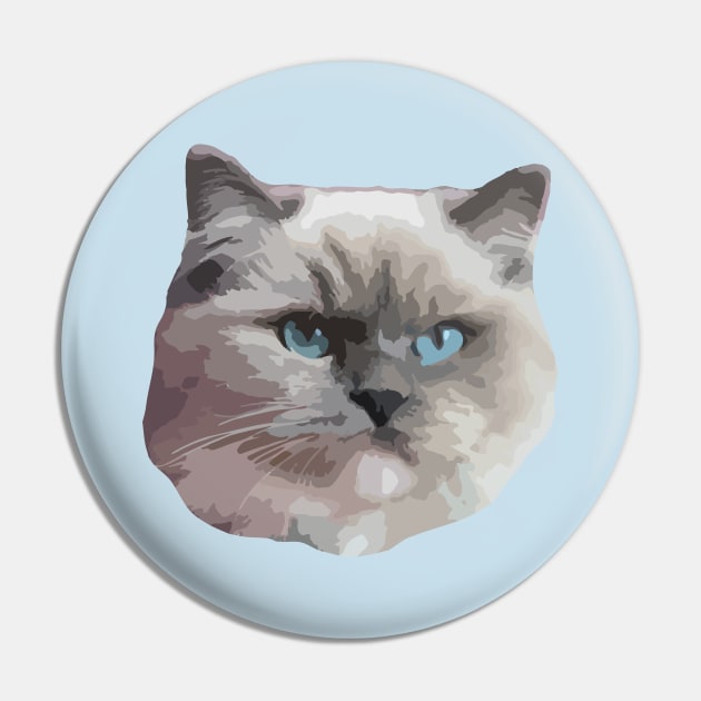 Ragdoll Cat Pin by NV