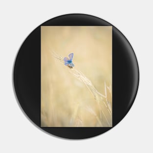 Common Blue Butterfly on Grass Pin