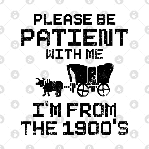 Please Be Patient With Me I'm From The 1900's by nadinedianemeyer
