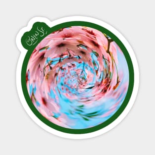 Confetti Blossom Magnet